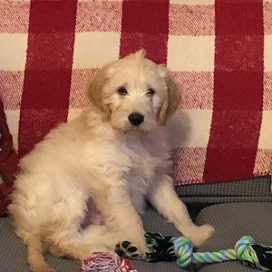 Meet your Posher, Tammy